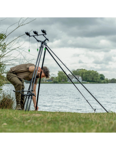 Avid carp extremity pod