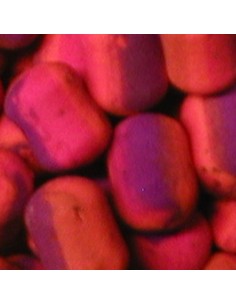 Frank warwick dumbell pop-up special fruit 12mm 2