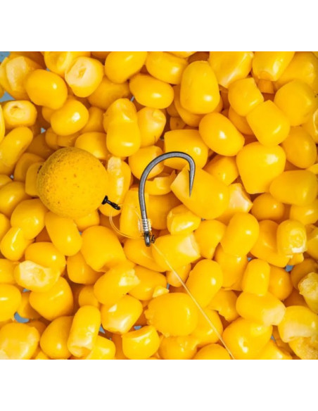 Nash new continental nº6 10unds