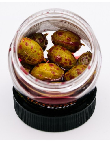 Massive replic tiger straberry bergamota 10unds