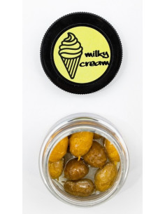 Massive replic tiger milky cream 10unds 2