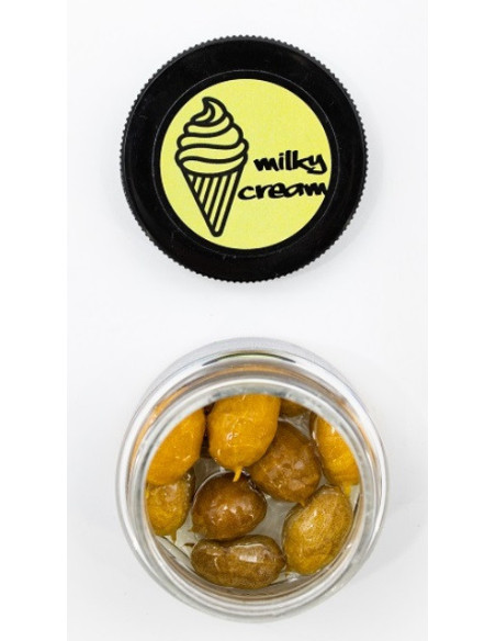 Massive replic tiger milky cream 10unds