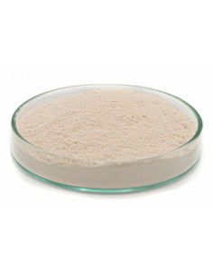 Feedstimulants milk B+  50gr