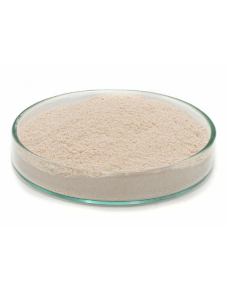 Feedstimulants milk B+  50gr