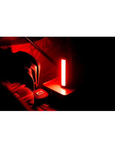 Ridgemonkey base lite IR