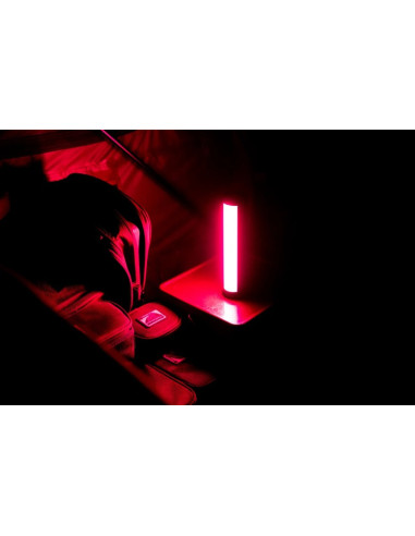 Ridgemonkey base lite IR