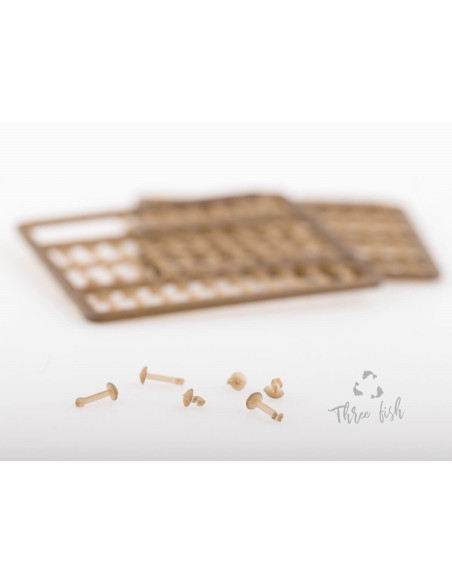 Zfish boilie caps large 40 piezas