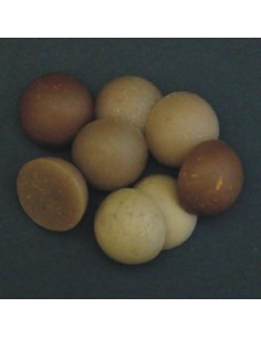 Enterprise medio boilie mezcla marrón 15mm 8unds 2