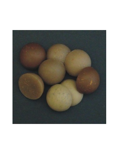 Enterprise medio boilie mezcla marrón 15mm 8unds