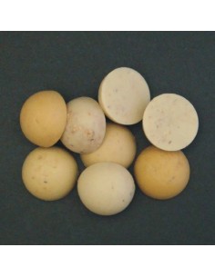 Enterprise medio boilie crema beige 15mm 8unds 2