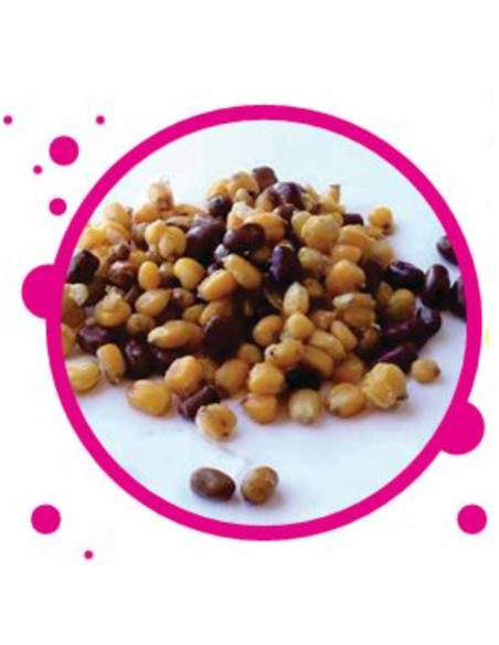 Particles cubo semillas spod supreme 5kg