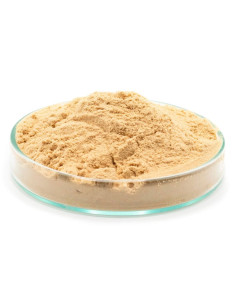 Feedstimulants brocarel yeast powder 250gr