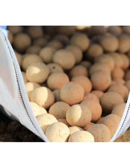 Sbs Eurostar Boilies garlic + 50 ml Dip 20mm 1kg