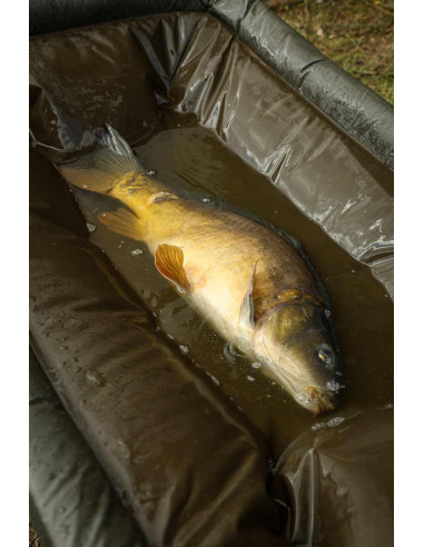 Fox carpmaster welded cradle