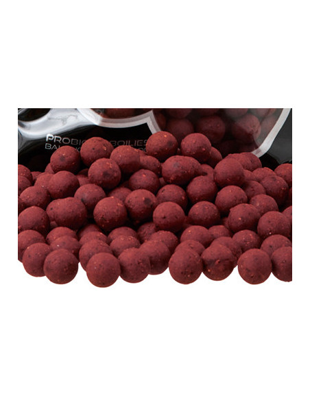 Starbaits probiotic strawberry spice 24mm 800gr