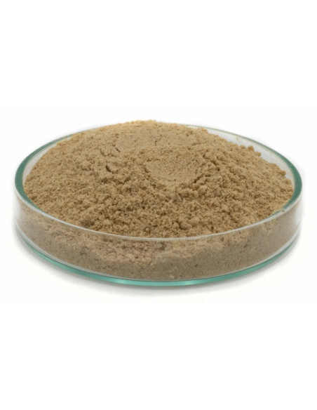 Feedstimulants squidstim 250gr