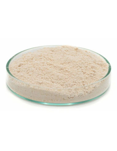 Feedstimulants lactosestim 50gr