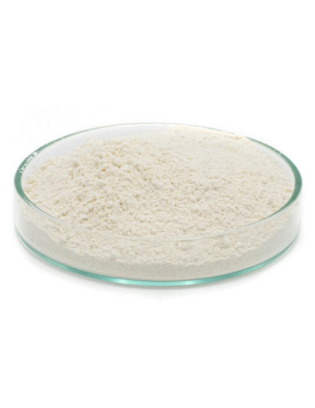 Feedstimulants super garlic concentrate 50gr