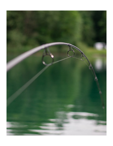 Shimano caña TX-2A carp cork 10" 3lb 2pc