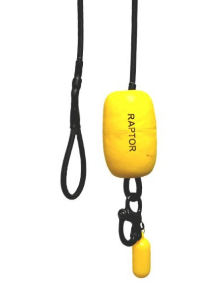 Raptor quick release pro clip