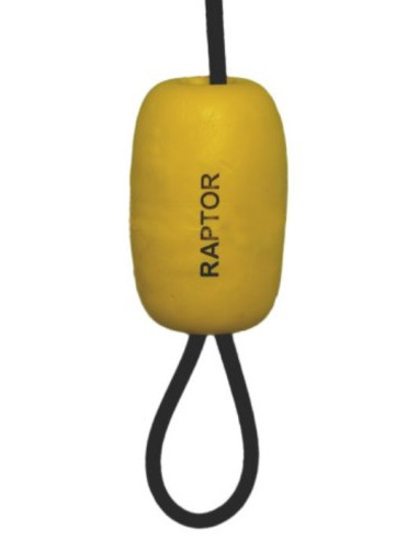 Raptor quick release pro clip