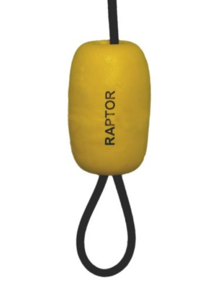 Raptor quick release pro clip