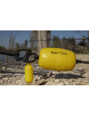 Raptor quick release pro clip