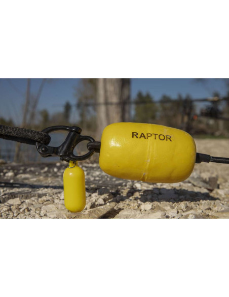 Raptor quick release pro clip