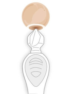 Zfish bore tool 2