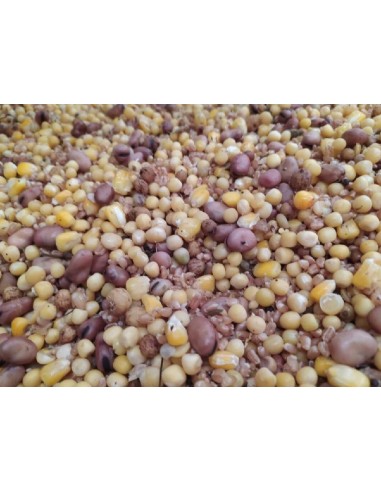 Superbaits spod mix gross pva friendly 5kg