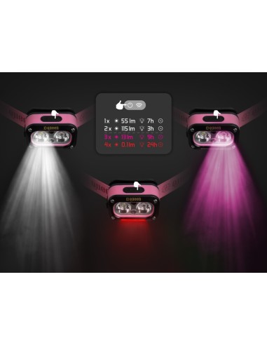 Delphin frontal queen pink