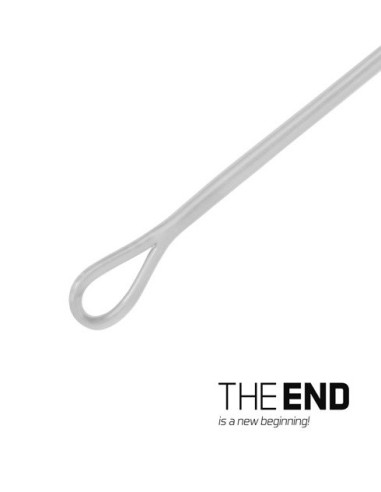 Delphin THE END fluorocarbon leader 30lb 1m 1und