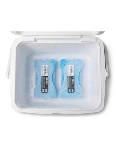 Delphin bloque hielo BRIX 400ml