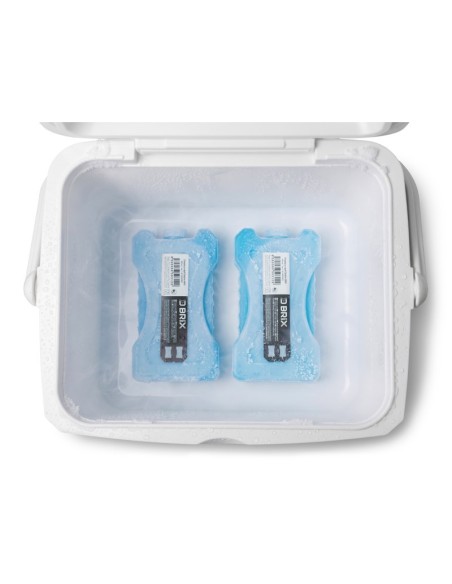 Delphin bloque hielo BRIX 400ml