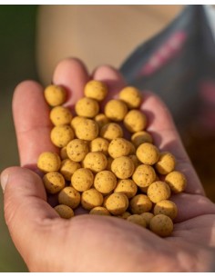 Mainline impact boilies scopex blackcurrant 20mm 1kg 2