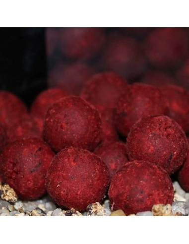 Trybion boilies premiun cyprinus max 20mm 800gr
