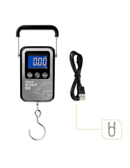 Delphin digital scalo