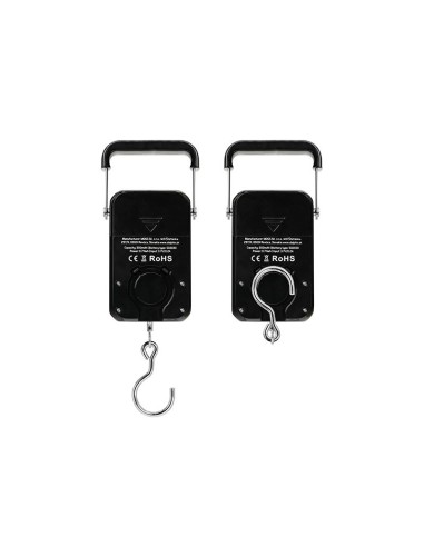 Delphin digital scalo