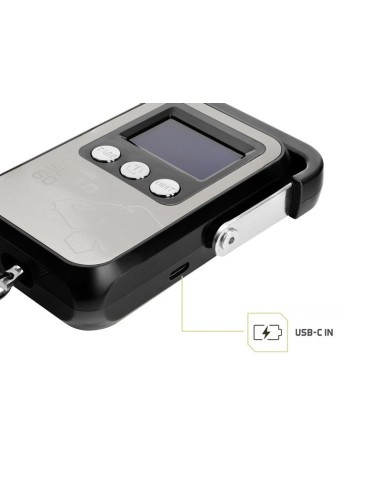 Delphin digital scalo