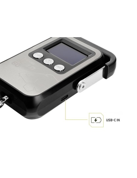 Delphin digital scalo