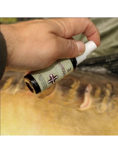 Omc antiseptico cyproguard carp care