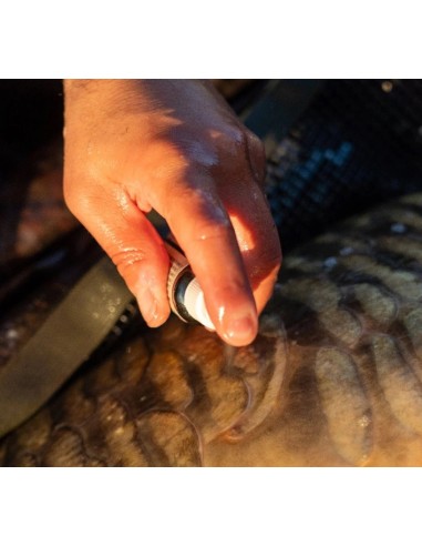 Omc antiseptico cyproguard carp care