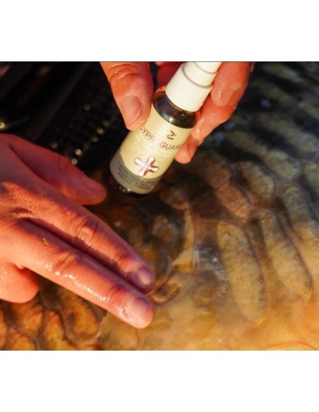 Omc antiseptico cyproguard carp care