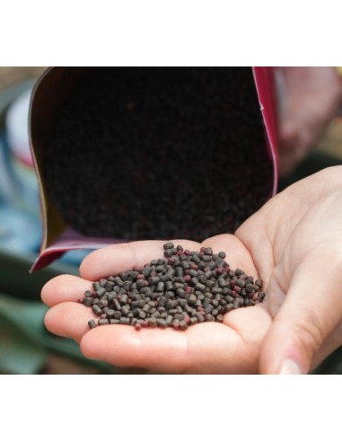 Omc cured micropellets paella 2mm & 3mm 1kg