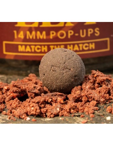 Omc pop-ups paella 14mm