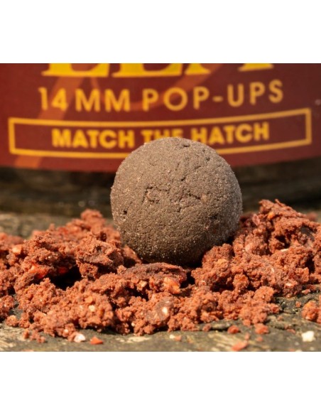Omc pop-ups paella 14mm