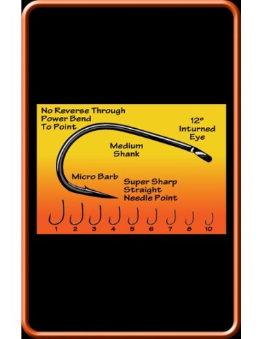 ESP raptor big-T nº4 10unds