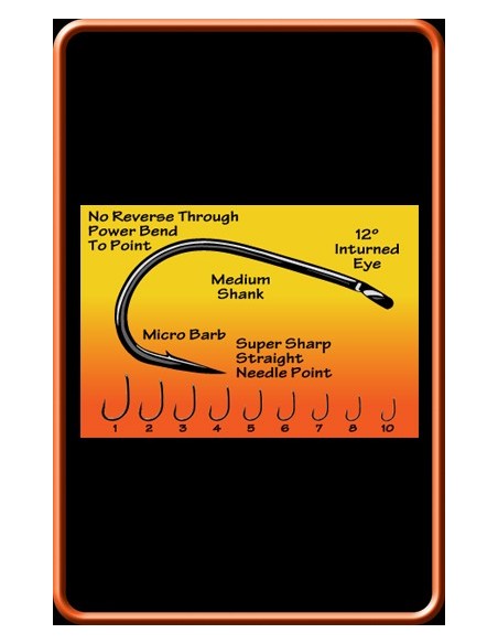 ESP raptor big-T nº4 10unds