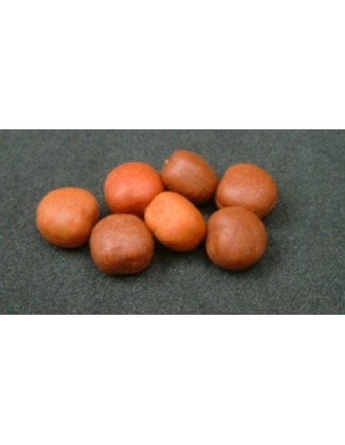 Enterprise maple pear 10unds