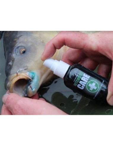 Gardner antiseptico care spray